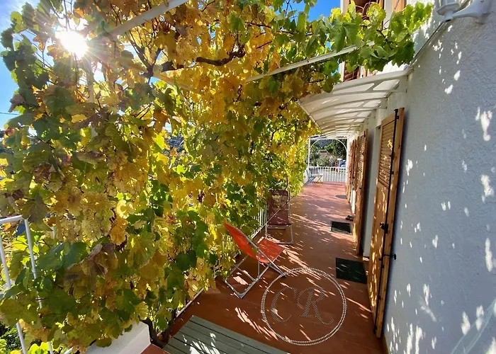 Duplex - 100m De La De St Clair *