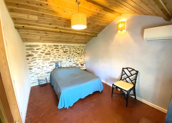 Duplex - 100m De La De St Clair *